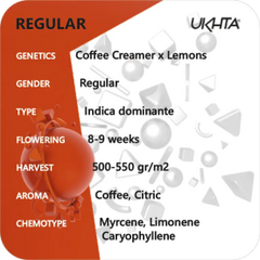 Coffee Cream x Lemon Tree, Фасовка: 11